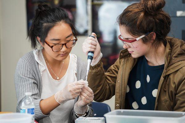 AP Biology Students Partner with Amgen for Invaluable Hands-On Learning.