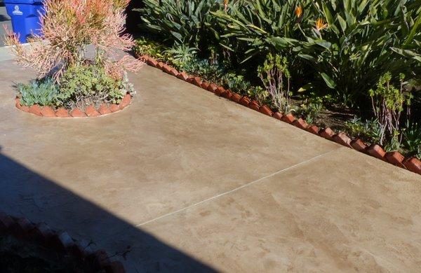 Dynamic Concrete Coatings