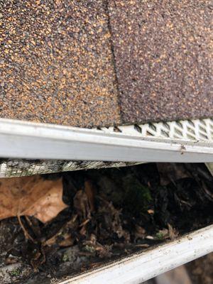 Gutter cleanup