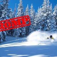 Rent your Romp Skis with us!