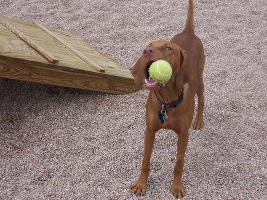 Ball Time!