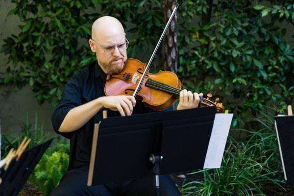 Organic String Quartet