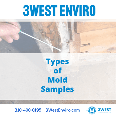 Common types of mold samples