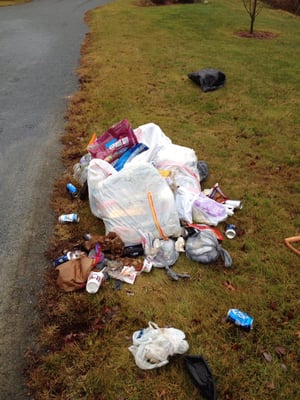 Our trash purposely dumped in our neighbors yard. Very professional.