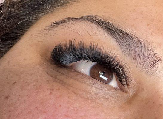 Eyelashes extensions mega volume