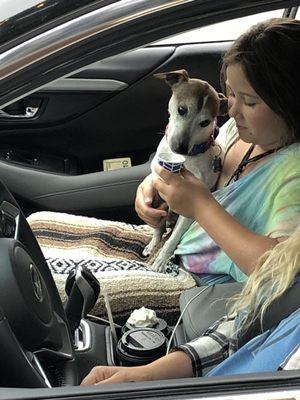 Diesel celebrating his 14th birthday with a Puppuccino!