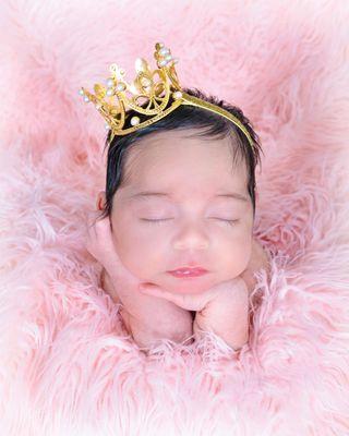 Newborn Portraits