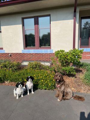 Ruby loves to stay with her best buds Coco & Pepper!