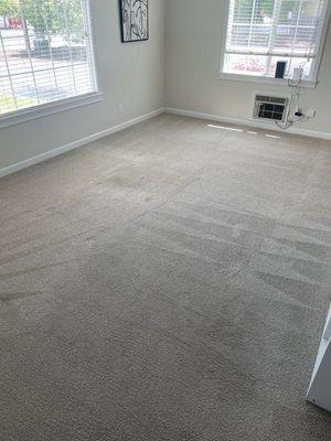 Integrity Carpet Care