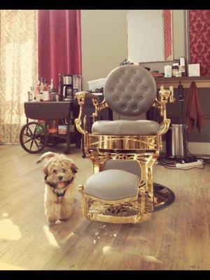 Royal Cuts Barbershop dog