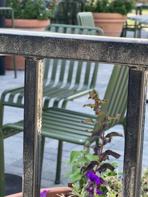 Ah! Lovely day for patio dining!