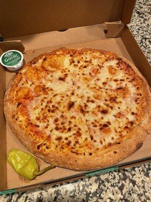 Papa Johns Pizza