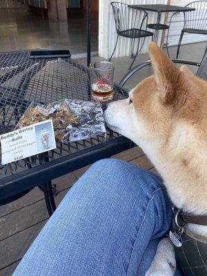 Zuki likes the malted barley dog treats while hanging on the patio