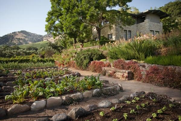 Winemaker's Apothecary Garden