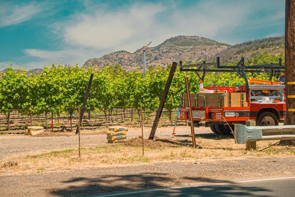 Gate installed at a vineyard in Napa