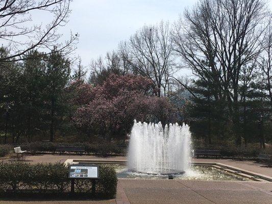 Waterfall at the main entrance.