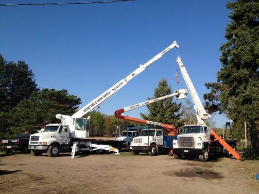 Metro Tree and Crane Service