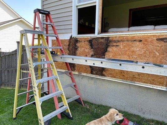 Water damage to the plywood before repairs made