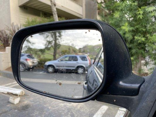 Saints remains on the mirror, but body was clean.