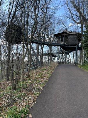 Tree Canopy Walk