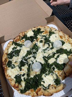 White pizza - mozzarella, ricotta, spinach, garlic, onion (I ordered no tomato)