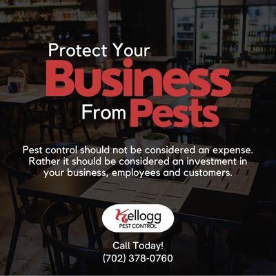 Commercial Pest Control Las Vegas