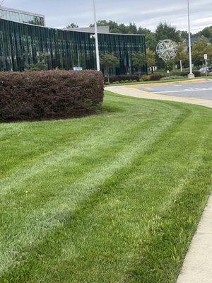 Technology Center entrance.