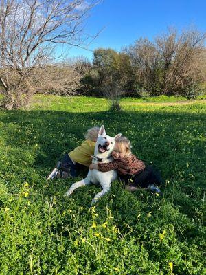 Our dog Kappa who was trained by Bark Busters.