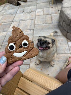 Poop emoji dog treat