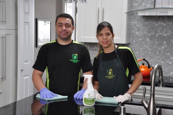 GreenTerra Cleaning Service