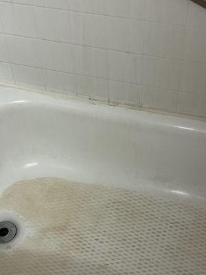 Seriously, this was our "cleaned bathtub"