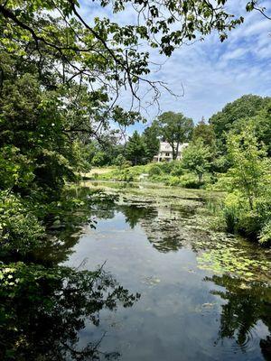 View from the bridge