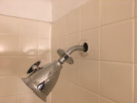 Shower head