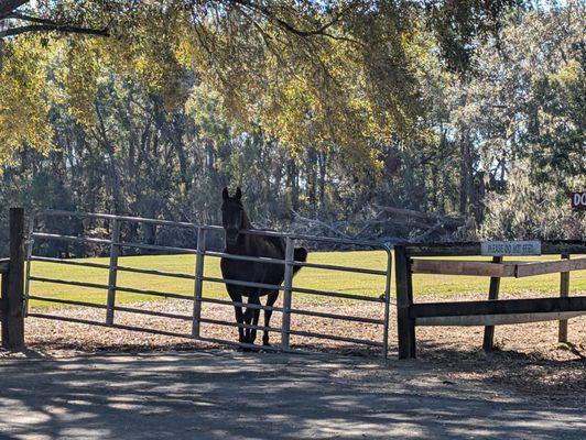 Mill Creek Farm