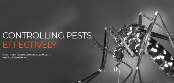 Controlling Pests Effectively