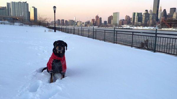 Nahla loves snow storms!