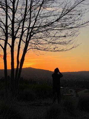 Sunset in the park