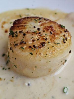 Close-up of the Seared Sea Scallops with a Parmesan Cognac Cream sauce. A culinary masterpiece.