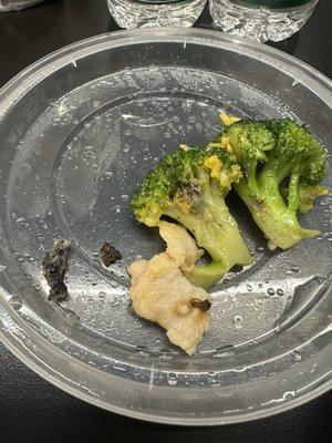 Disgusting rotten broccoli, funky chicken and mysterious things I found in my chicken and broccoli with white sauce.