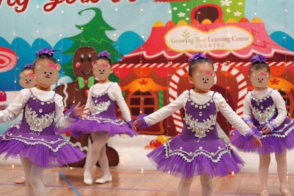 Christmas ballet performance