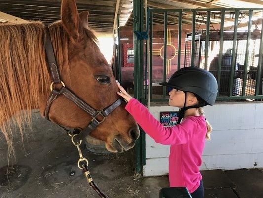 Jenna LOVES these horses