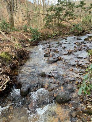 Creek next to the cabin