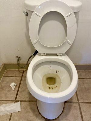 Toilets always caked with feces & urine - smelly