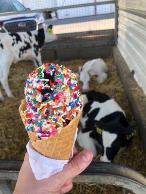 Espresso oreo caramel with rainbow sprinkles in a waffle cone