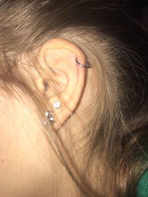 Helix piercing with a sterling silver hoop (solid hoop was a $5 upgrade - the standard option had a silver ball on the hoop)