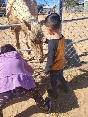 AVCCLC-EAST  field trip to the farm