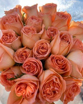 Two dozen roses (under $20) in Costco - absolutely stunning