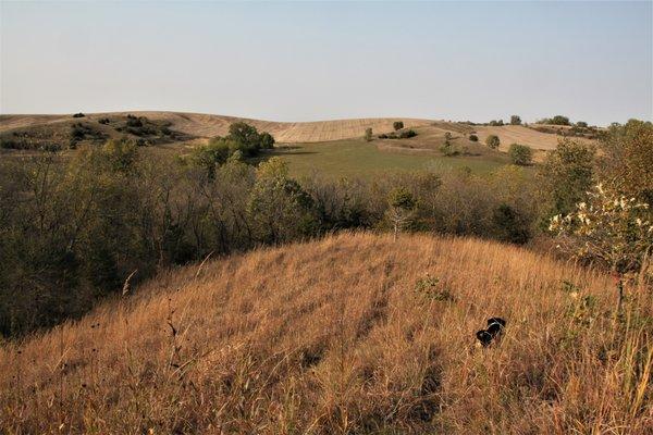 Loess Hills Hideaway Cabins & Campground