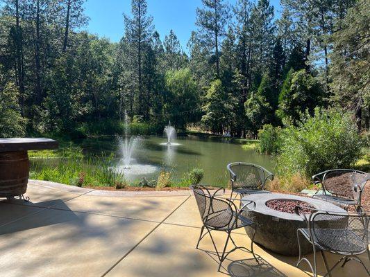 Back patio with pond