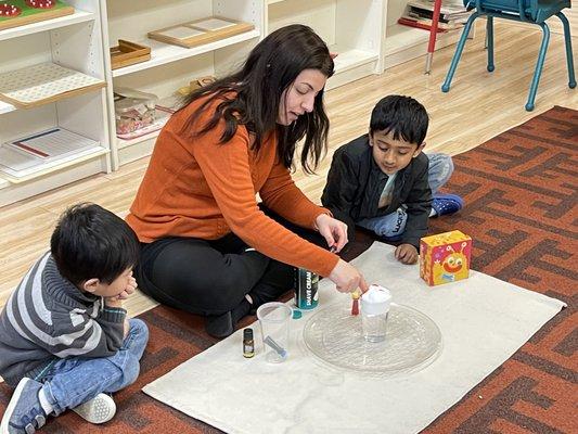 Science Experiment for Pre-K and Kindergarten classroom